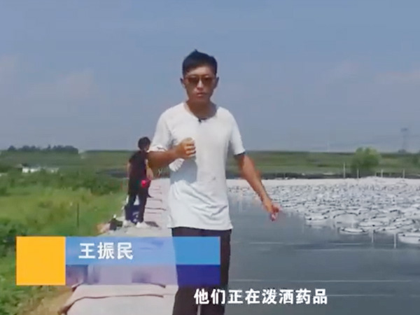 视频展示