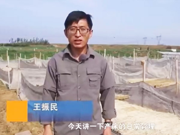 产床日常治理
