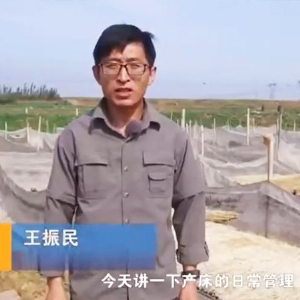 产床日常治理