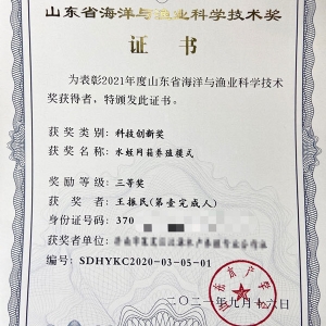 资质荣誉